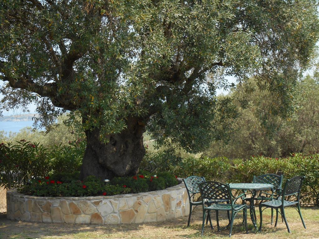 Heliactida House Villa Ormos Panagias Dış mekan fotoğraf